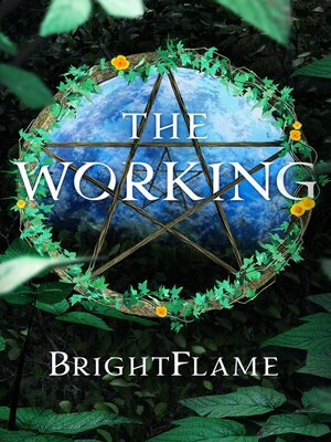 cover image of The Working